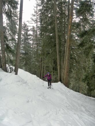 Hochwald
