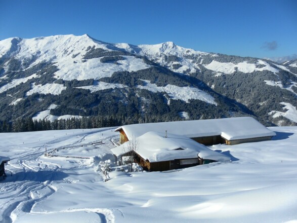 Schwaigberghorn und Feldalphorn hinter der Unteren Lodronalm