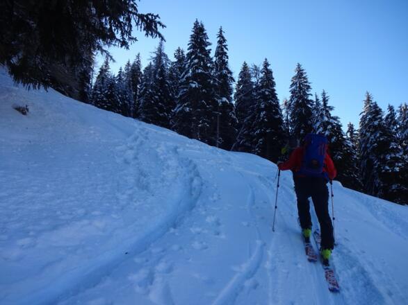 Teilweise etwas steil durch den Wald hinauf