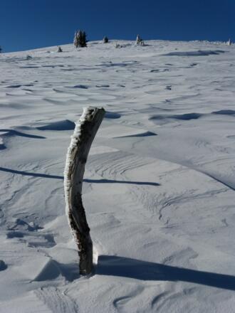 Unterwegs sehen wir diese Eisformation an einem Zaunpfahl.