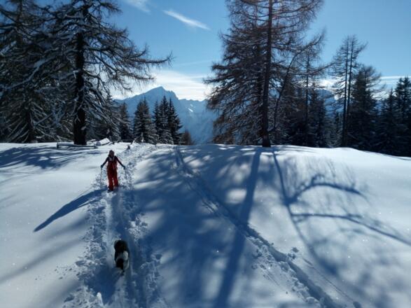 Auf dem Gipfelplateau des Stronachkogels