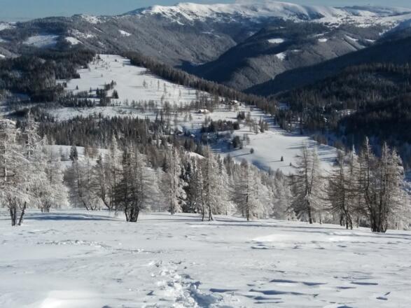 Gegenüber liegt die Schöngelitze, 1812 m, unser 2. Tagesziel.