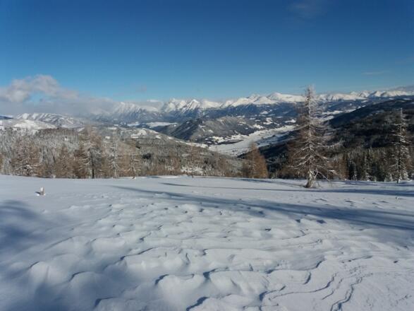Oberhalb der Baumgrenze: Blick nach Süden