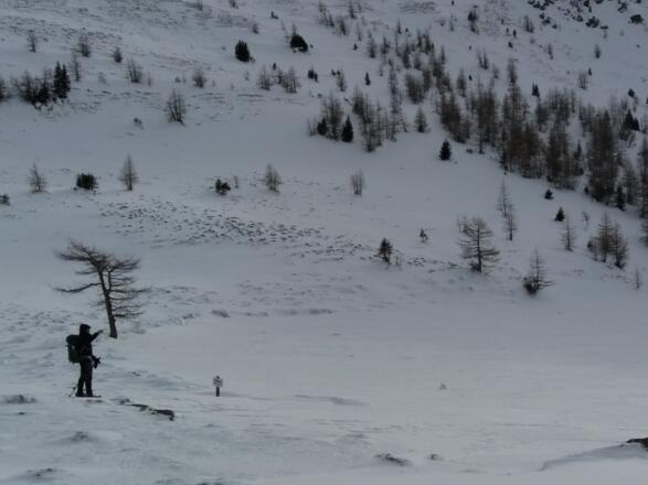 Beim Übergang zum Roten Riegel ist der Bachablauf zu beachten.