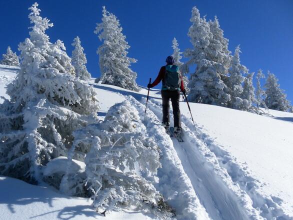 Hochwinter