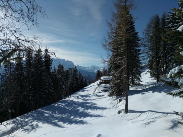 Groje Alm