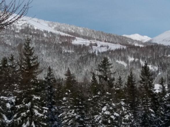 Unser Ziel: Kösselbacher- und Branntweineralm_Samstag, 30. Dezember 2017 09:49:11