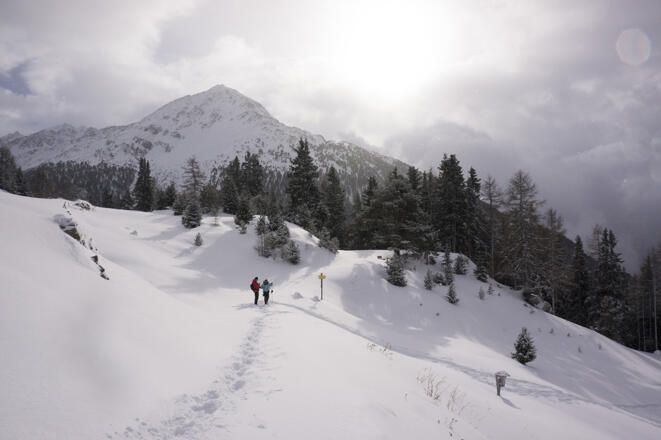 Winterwandern Stallwiesalm