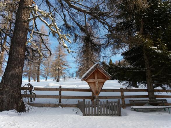 Wir erreichen die Neue Bonner Hütte.