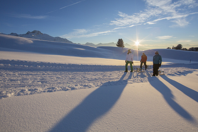 Rodelweg zur Feldring Alm