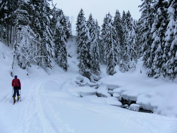 Langer Grund