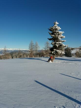 Sonnenbad an außergewöhnlichem Sitzplatz!