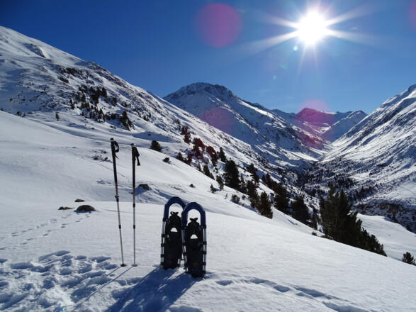 Blick von der Ramolalm ins Niedertal