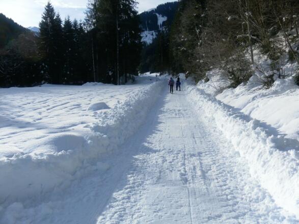 flacher Almweg ins obere Windautal
