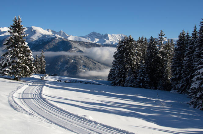Winterwanderweg rund ums Waldraster Jöchl