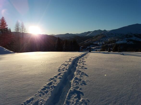 Gegen die Sonne geschaut.