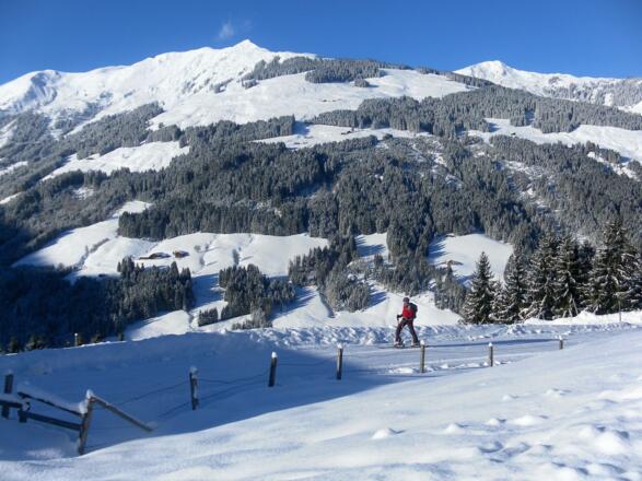 Schwaigberghorn und Feldalphorn