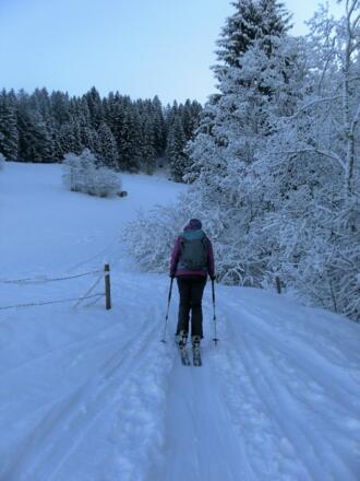 Waldschneisen