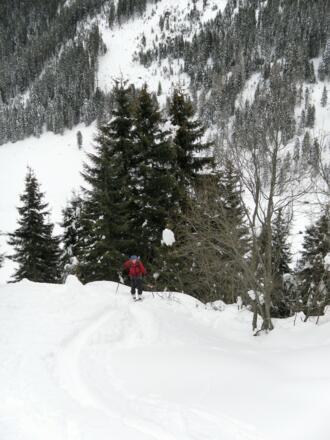 steile Waldschneise