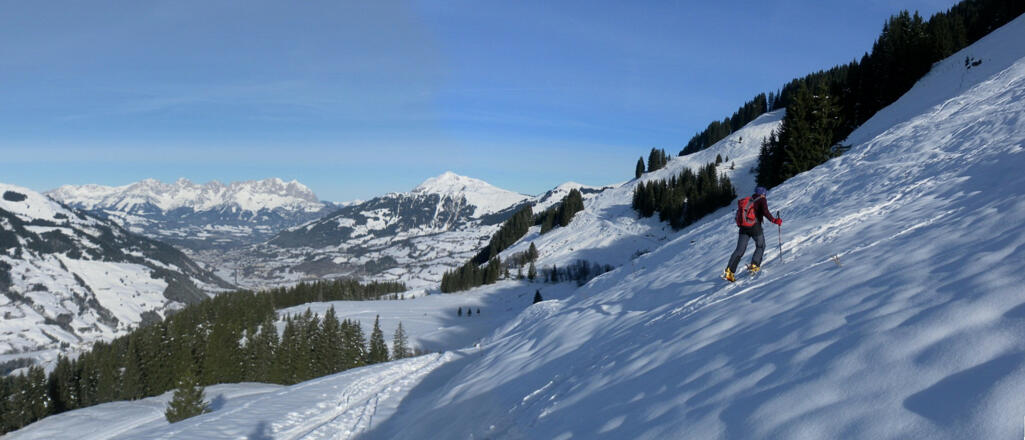 Wilder Kaiser und Kitzbüheler Horn