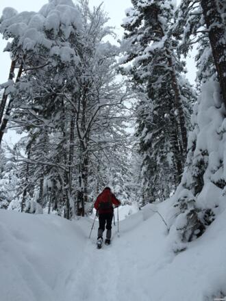 Abzweigung Brunschkopf