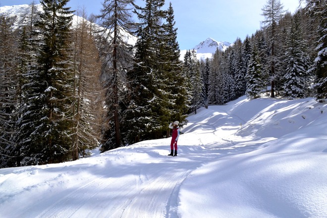 Weg hinunter ins Wildlahnertal
