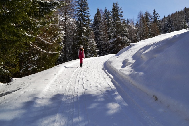 Weg zur Kalten Herberge