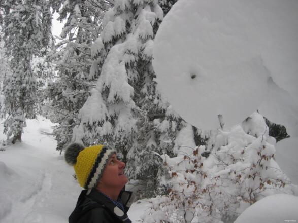 Unterwegs am Brunschkopf