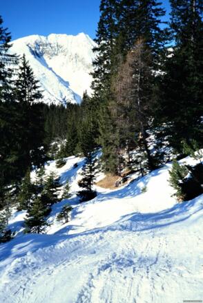 Rodelbahn 2