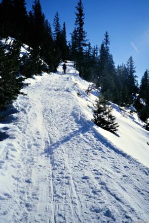 Rodelbahn 1