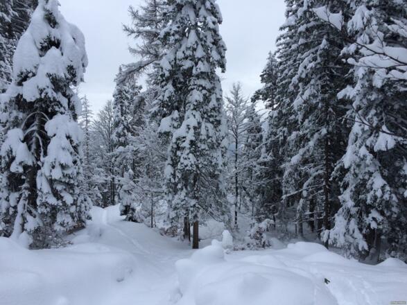 Aufstieg zum Brunschkopf