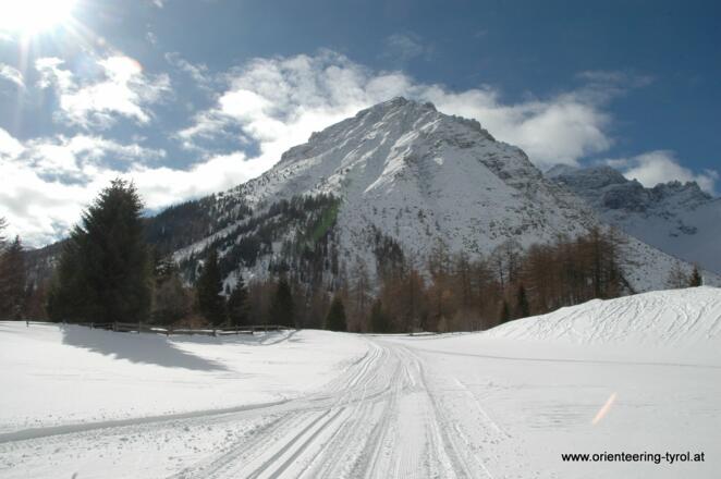 am Fuße des Tribulaun wunderschön Langlaufen