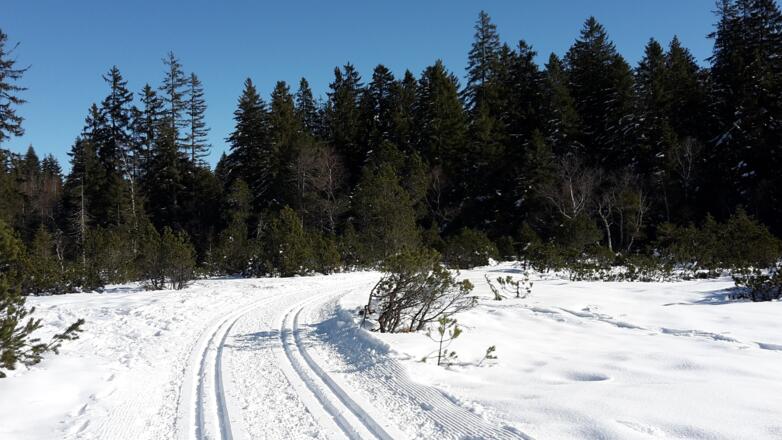 Langlaufloipe Fohramoos Bödele