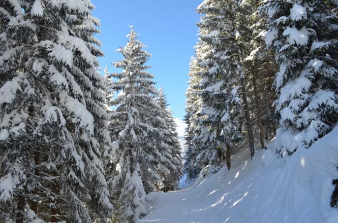 verschneite Winterlandschaft