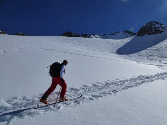 Im nicht allzu steilen Gelände geht es unschwierig durchauf.