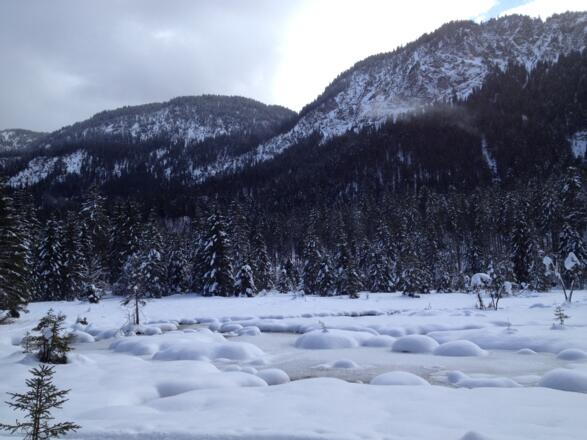 Riedener See verschneit