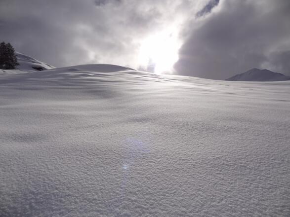 Aufstieg von der Gretschalpe vom Silbertal im Montafon aufs Fellimännle
