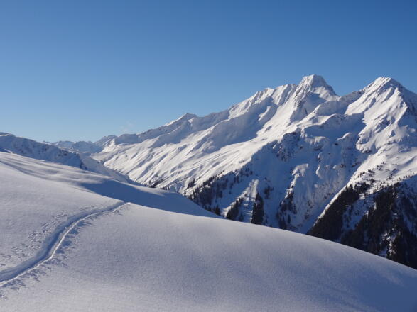 Aufstieg von der Gretschalpe vom Silbertal im Montafon aufs Fellimännle