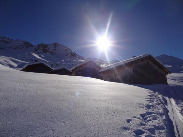 Gretschalpe vom Silbertal im Montafon