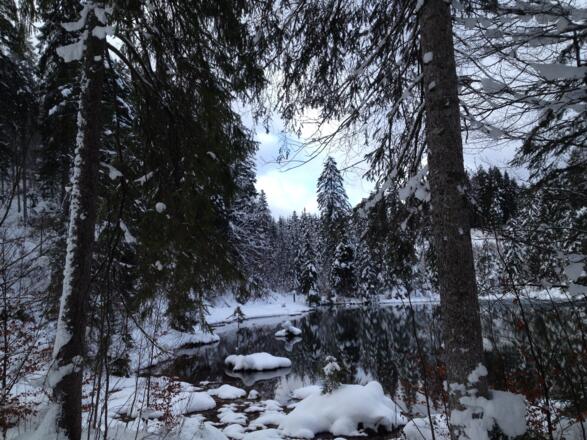 Riedener See Winter