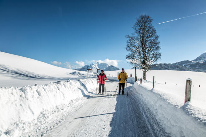 Am Winterwanderweg von Hochfilzen nach Fieberbrunn