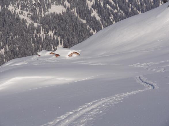 Gretschalpe vom Silbertal im Montafon