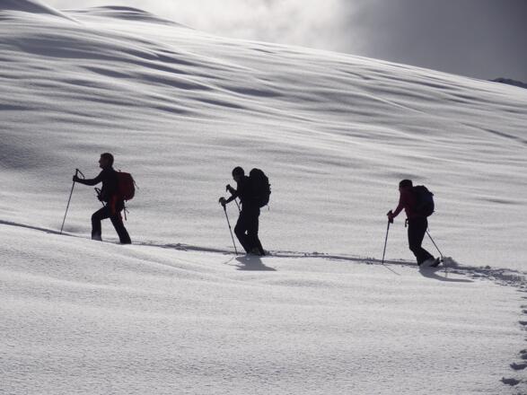 Aufstieg von der Gretschalpe vom Silbertal im Montafon aufs Fellimännle
