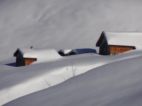 Gretschalpe vom Silbertal im Montafon