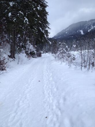 Winterwanderweg Riedener See