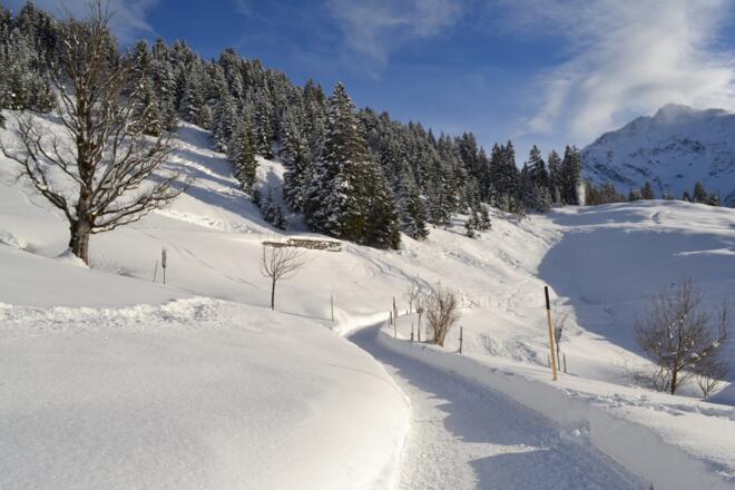 Weiter auf dem Höhenweg bis ins Höfle