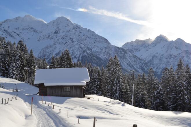 Aussicht auf Elfer, Zwölfer, Bärenkopf und Widderstein