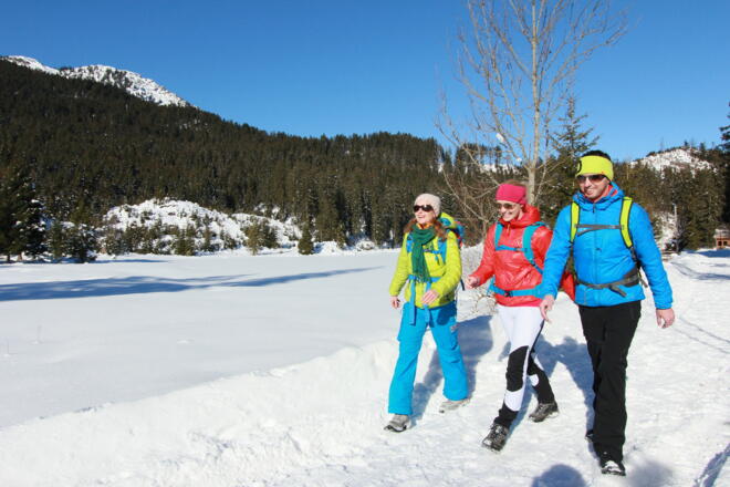 Winterwandern Frauensee