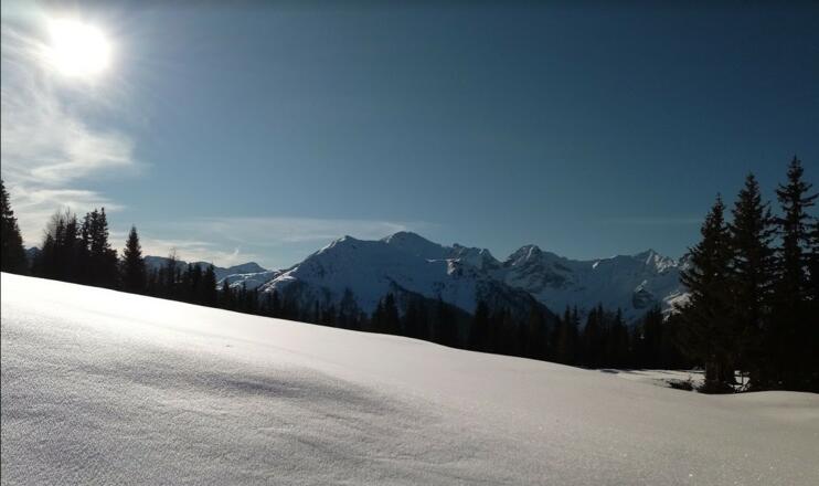 Breitwiese unterhalb des Dorfbergs, Blick in die Karnischen Alpen