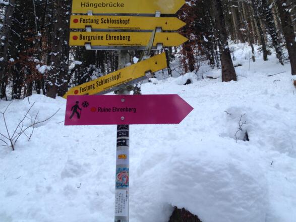 Winterwanderbeschilderung Ruine